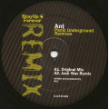 Ant - Panic Underground Remixes